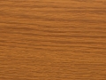Virginia-Oak-2