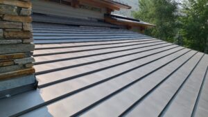 Terne Prairie Panel