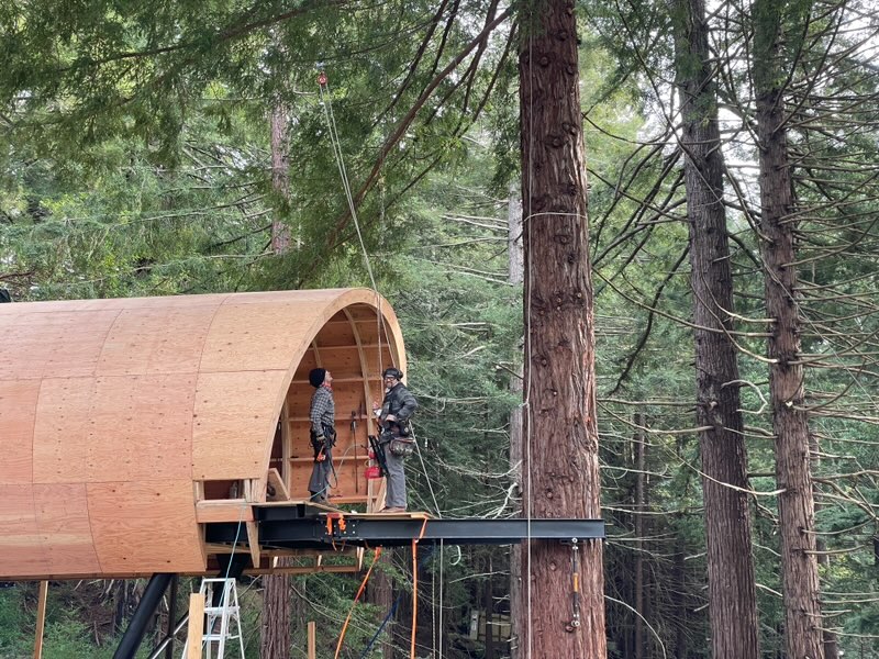 Spyglass Treehouse: A Symphony of Nature and Engineering Excellence ...